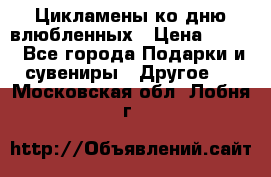 Цикламены ко дню влюбленных › Цена ­ 180 - Все города Подарки и сувениры » Другое   . Московская обл.,Лобня г.